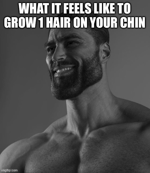 Gigantic chad | WHAT IT FEELS LIKE TO GROW 1 HAIR ON YOUR CHIN | image tagged in giga chad | made w/ Imgflip meme maker