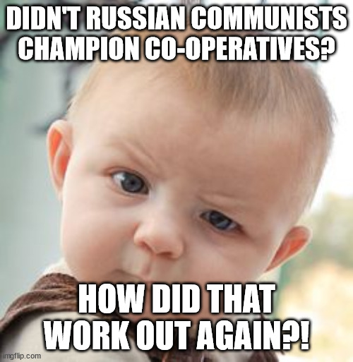 Skeptical Baby Meme | DIDN'T RUSSIAN COMMUNISTS CHAMPION CO-OPERATIVES? HOW DID THAT WORK OUT AGAIN?! | image tagged in memes,skeptical baby | made w/ Imgflip meme maker