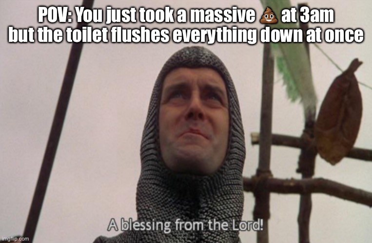 That’s the best feeling | POV: You just took a massive 💩 at 3am but the toilet flushes everything down at once | image tagged in a blessing from the lord | made w/ Imgflip meme maker