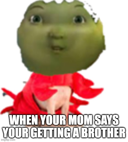 meeeeeeeeeee | WHEN YOUR MOM SAYS YOUR GETTING A BROTHER | image tagged in meeeeeeeeeee,memes | made w/ Imgflip meme maker