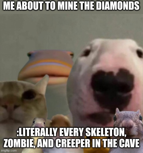 whats your faviroite wood type in minecraft? | ME ABOUT TO MINE THE DIAMONDS; :LITERALLY EVERY SKELETON, ZOMBIE, AND CREEPER IN THE CAVE | image tagged in the council remastered | made w/ Imgflip meme maker