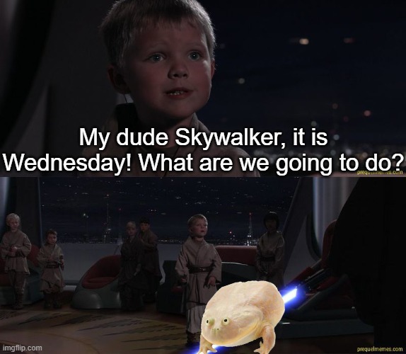 You know what day it is my dudes | My dude Skywalker, it is Wednesday! What are we going to do? | image tagged in master skywalker youngling,it is wednesday my dudes,wednesday,anakin skywalker | made w/ Imgflip meme maker