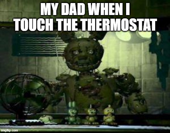 FNAF Springtrap in window | MY DAD WHEN I TOUCH THE THERMOSTAT | image tagged in fnaf springtrap in window | made w/ Imgflip meme maker