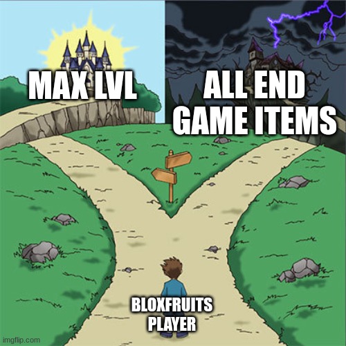 bloxfruits | ALL END GAME ITEMS; MAX LVL; BLOXFRUITS PLAYER | image tagged in two paths | made w/ Imgflip meme maker