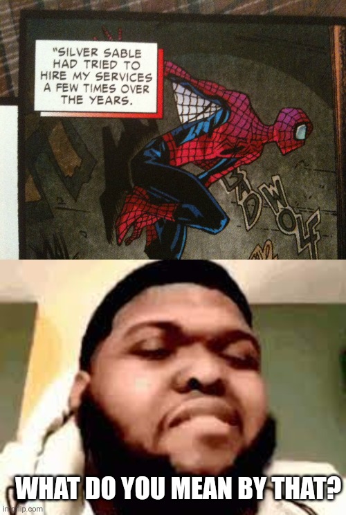 WHAT DO YOU MEAN BY THAT? | image tagged in memes,funny,spiderman,marvel,comics,silver sable | made w/ Imgflip meme maker