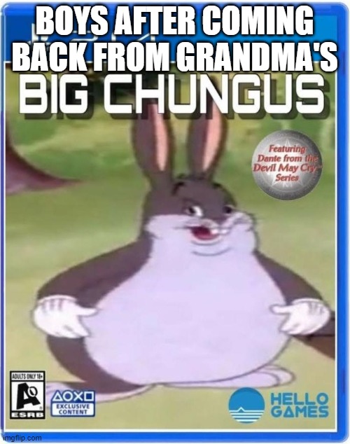 BOYS AFTER COMING BACK FROM GRANDMA'S | image tagged in big chungus | made w/ Imgflip meme maker