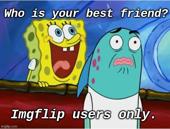 idk | Who is your best friend? Imgflip users only. | image tagged in spongebob yelling | made w/ Imgflip meme maker