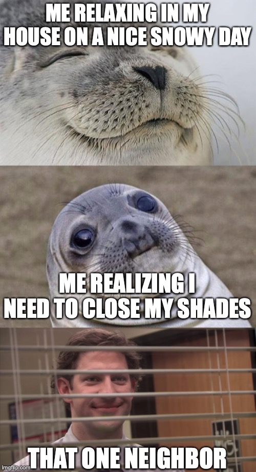 Wait... that's creepy! | ME RELAXING IN MY HOUSE ON A NICE SNOWY DAY; ME REALIZING I NEED TO CLOSE MY SHADES; THAT ONE NEIGHBOR | image tagged in memes,short satisfaction vs truth,jim looking through blinds,snow day,relaxing,neighbors | made w/ Imgflip meme maker
