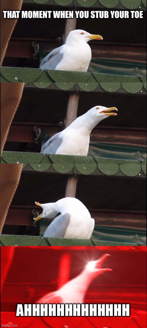 Inhaling Seagull | THAT MOMENT WHEN YOU STUB YOUR TOE; AHHHHHHHHHHHHH | image tagged in memes,inhaling seagull | made w/ Imgflip meme maker