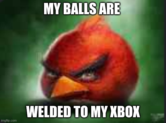 red | MY BALLS ARE; WELDED TO MY XBOX | image tagged in funny memes | made w/ Imgflip meme maker