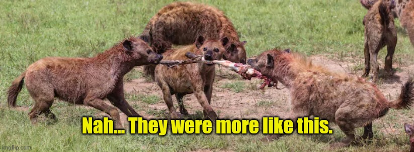 Hyenas fighting for meat | Nah... They were more like this. | image tagged in hyenas fighting for meat | made w/ Imgflip meme maker