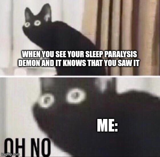 My sleep paralysis demon knows that I saw it!!!! | WHEN YOU SEE YOUR SLEEP PARALYSIS DEMON AND IT KNOWS THAT YOU SAW IT; ME: | image tagged in oh no cat | made w/ Imgflip meme maker
