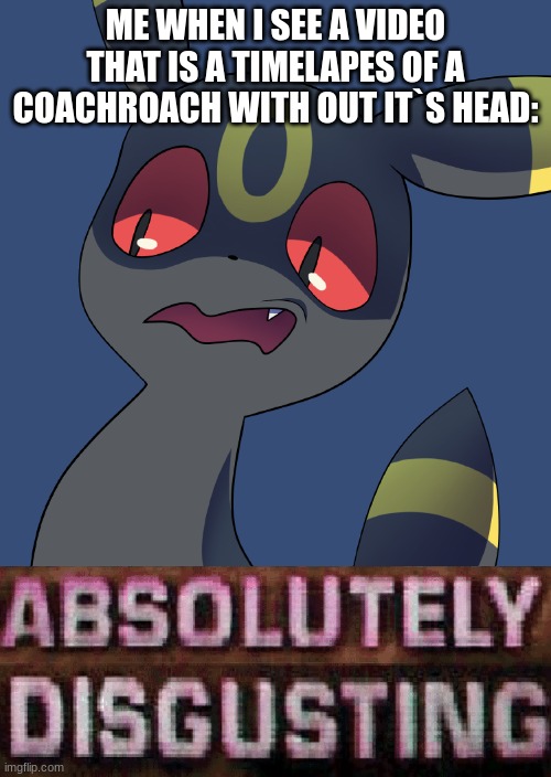 true story that happen with me | ME WHEN I SEE A VIDEO THAT IS A TIMELAPES OF A COACHROACH WITH OUT IT`S HEAD: | image tagged in umbreon absolutely disgusting | made w/ Imgflip meme maker