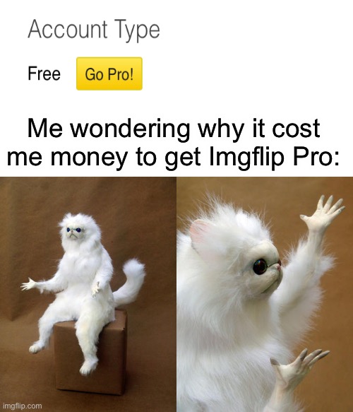 Imgflip probably should’ve worded that more clearly | Me wondering why it cost me money to get Imgflip Pro: | image tagged in memes,persian cat room guardian | made w/ Imgflip meme maker