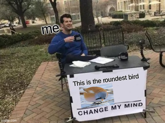 Change My Mind | me; This is the roundest bird | image tagged in memes,change my mind | made w/ Imgflip meme maker