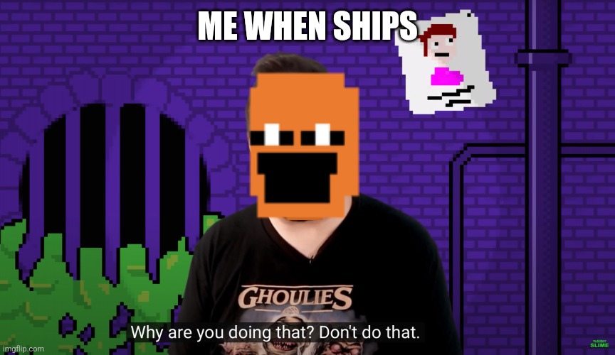 Why Are You Doing That? Don't Do That. | ME WHEN SHIPS | image tagged in why are you doing that don't do that | made w/ Imgflip meme maker