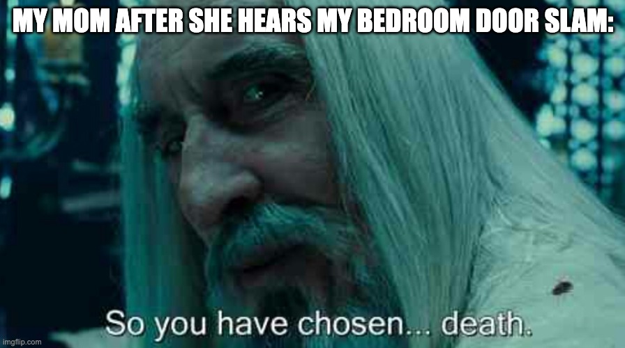 It wasn't even that noticable! |  MY MOM AFTER SHE HEARS MY BEDROOM DOOR SLAM: | image tagged in so you have chosen death | made w/ Imgflip meme maker