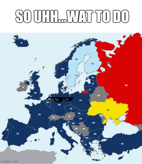 Dont Mess With NAZI GERMANY | SO UHH...WAT TO DO | image tagged in ww2 map europe | made w/ Imgflip meme maker