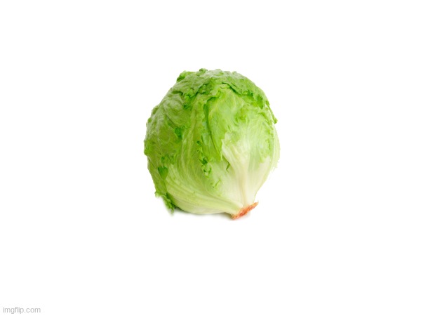 >:) | image tagged in lettuce | made w/ Imgflip meme maker