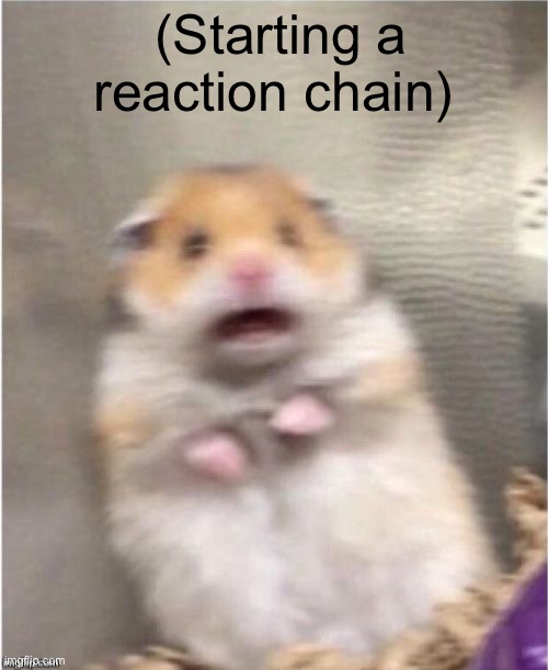 Scared Hamster | (Starting a reaction chain) | image tagged in scared hamster | made w/ Imgflip meme maker