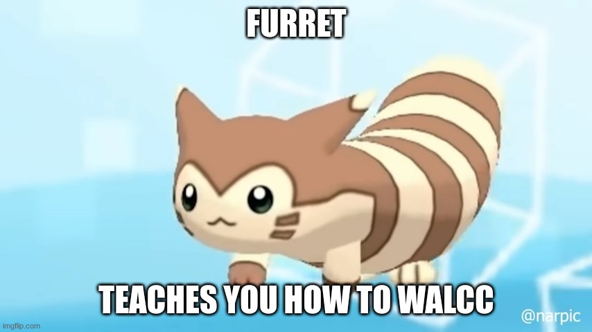 walcc | FURRET; TEACHES YOU HOW TO WALCC | image tagged in furret walcc | made w/ Imgflip meme maker