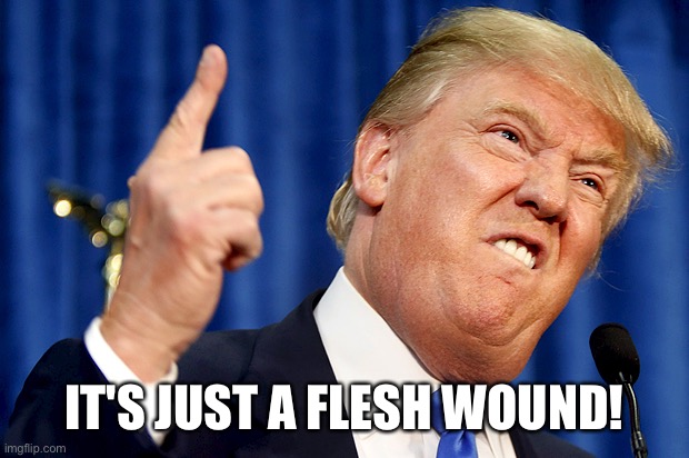 Donald Trump | IT'S JUST A FLESH WOUND! | image tagged in donald trump | made w/ Imgflip meme maker