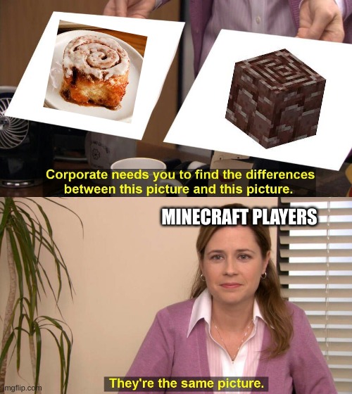 hm | MINECRAFT PLAYERS | image tagged in they are the same picture,oh wow are you actually reading these tags | made w/ Imgflip meme maker