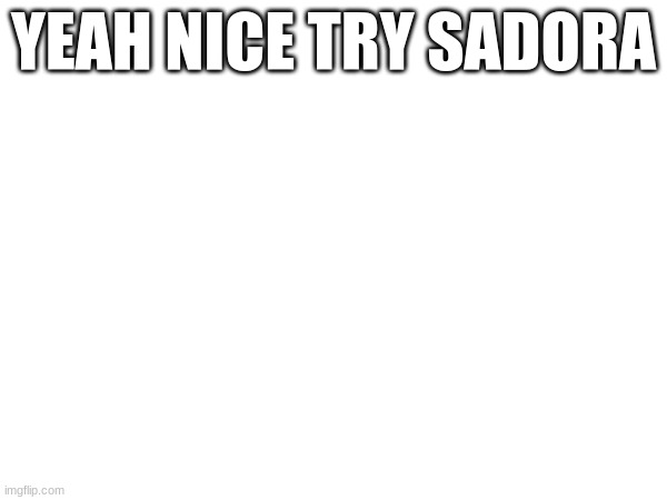 YEAH NICE TRY SADORA | made w/ Imgflip meme maker