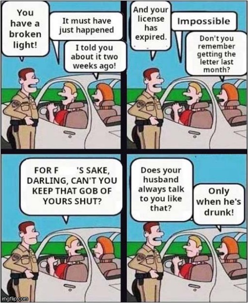 Ditch That Bitch ASAP ! | image tagged in police stop,wife,shut up,dark humour | made w/ Imgflip meme maker