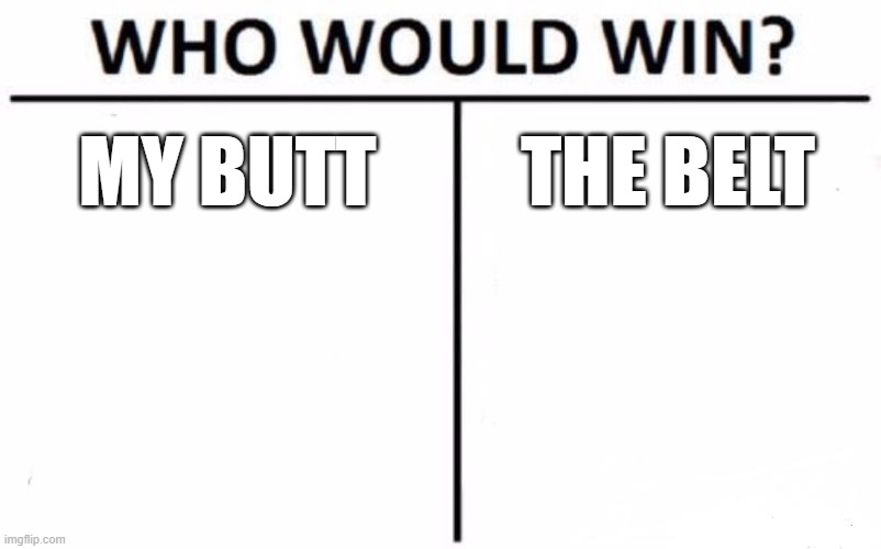 Who Would Win? | MY BUTT; THE BELT | image tagged in memes,who would win | made w/ Imgflip meme maker