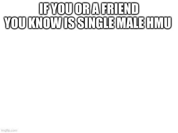 IF YOU OR A FRIEND YOU KNOW IS SINGLE MALE HMU | image tagged in single life | made w/ Imgflip meme maker