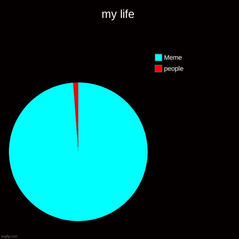 my life | people, Meme | image tagged in charts,pie charts | made w/ Imgflip chart maker