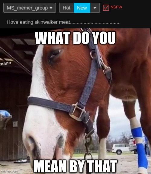 image tagged in what do you mean by that horse | made w/ Imgflip meme maker