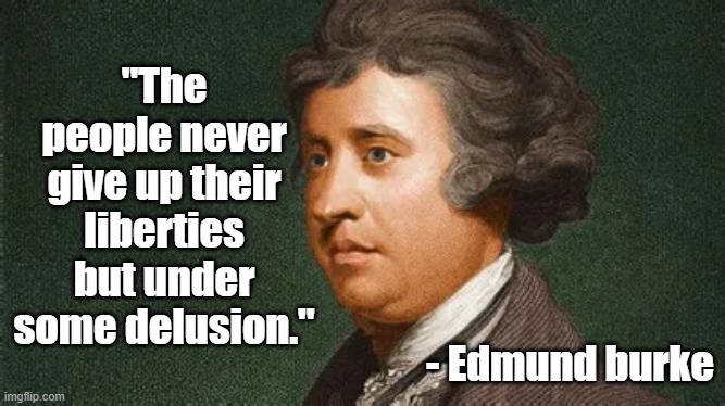 Delusion | "The people never give up their liberties but under some delusion."; - Edmund burke | image tagged in edmund burke,covid-19,liberty,politics,philosophy | made w/ Imgflip meme maker