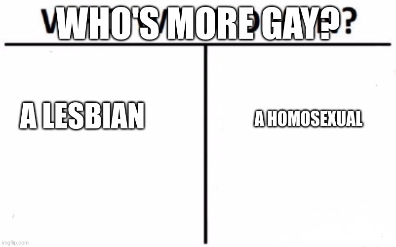 Who's More Gay? | WHO'S MORE GAY? A LESBIAN; A HOMOSEXUAL | image tagged in memes,who would win | made w/ Imgflip meme maker