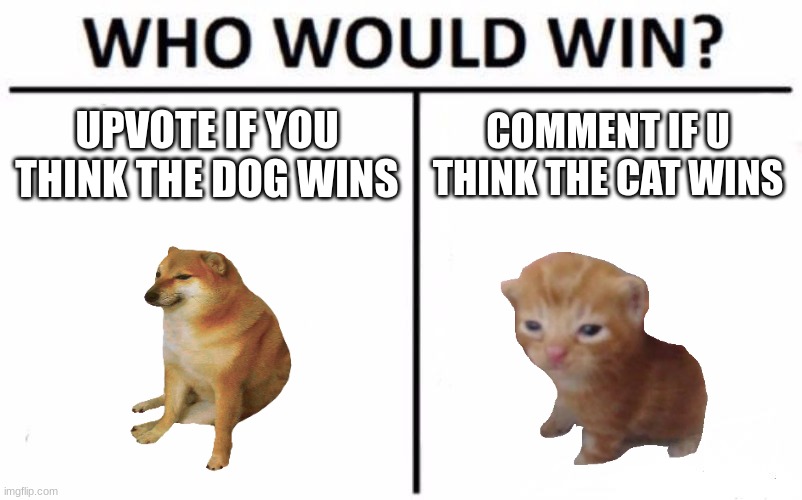 Who Would Win? Meme | UPVOTE IF YOU THINK THE DOG WINS; COMMENT IF U THINK THE CAT WINS | image tagged in memes,who would win | made w/ Imgflip meme maker