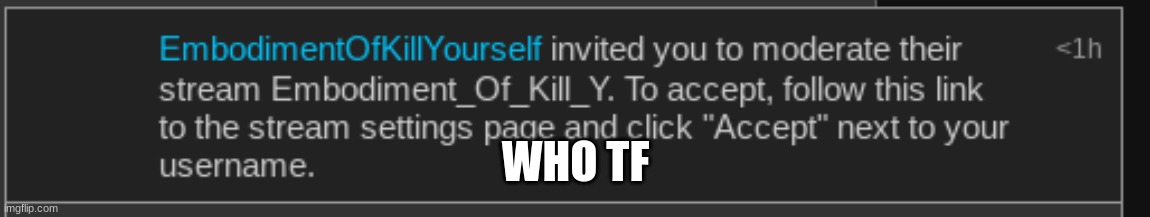 WHO TF | made w/ Imgflip meme maker