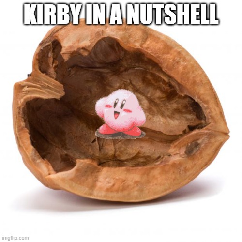 kirb | KIRBY IN A NUTSHELL | image tagged in nutshell,kirby | made w/ Imgflip meme maker