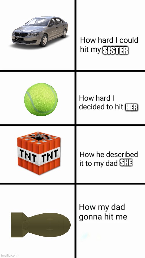 How hard I could hit my brother | SISTER; HER; SHE | image tagged in how hard i could hit my brother | made w/ Imgflip meme maker