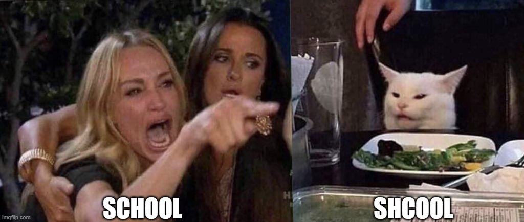 woman yelling at cat | SCHOOL SHCOOL | image tagged in woman yelling at cat | made w/ Imgflip meme maker