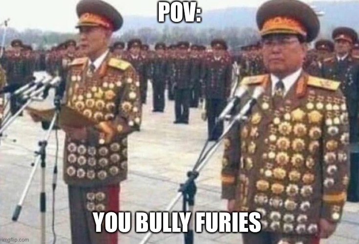 North korean medals | POV:; YOU BULLY FURIES | image tagged in north korean medals | made w/ Imgflip meme maker