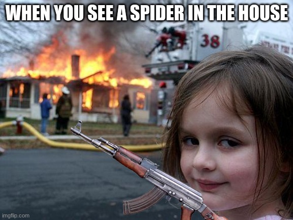 WHEN YOU SEE A SPIDER IN THE HOUSE | image tagged in imgflip | made w/ Imgflip meme maker