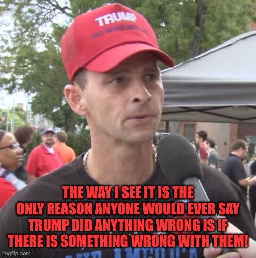 Trump supporter | THE WAY I SEE IT IS THE ONLY REASON ANYONE WOULD EVER SAY TRUMP DID ANYTHING WRONG IS IF THERE IS SOMETHING WRONG WITH THEM! | image tagged in trump supporter | made w/ Imgflip meme maker