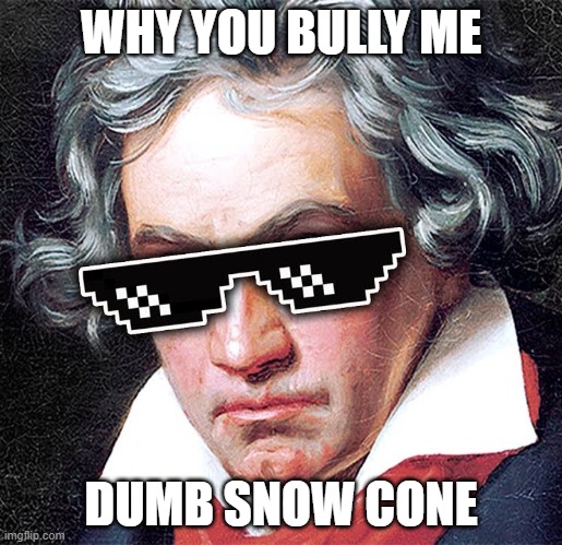 mlg beethoven | WHY YOU BULLY ME; DUMB SNOW CONE | image tagged in mlg beethoven | made w/ Imgflip meme maker