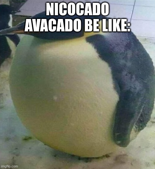 ... | NICOCADO AVACADO BE LIKE: | image tagged in i'm da biggest bird | made w/ Imgflip meme maker