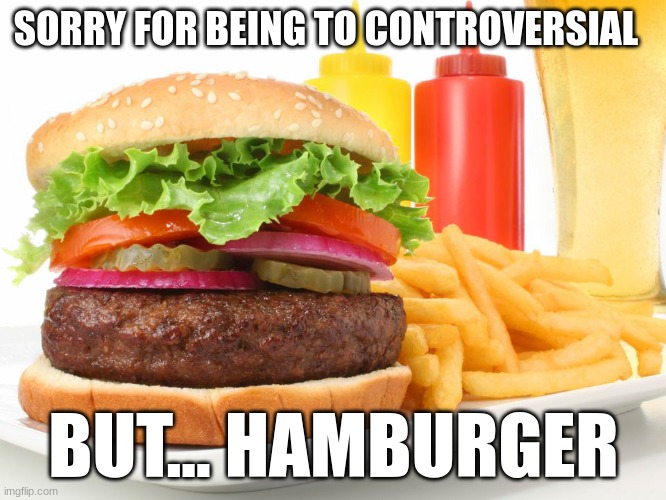 Hamburger  | SORRY FOR BEING TO CONTROVERSIAL; BUT... HAMBURGER | image tagged in hamburger | made w/ Imgflip meme maker