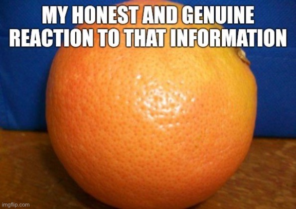 My honest reaction to that information | image tagged in my honest reaction to that information | made w/ Imgflip meme maker