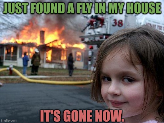 Disaster Girl Meme | JUST FOUND A FLY IN MY HOUSE; IT'S GONE NOW. | image tagged in memes,disaster girl,fly,funny,house,haha | made w/ Imgflip meme maker