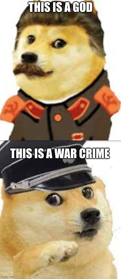 god vs war crimes | THIS IS A GOD; THIS IS A WAR CRIME | image tagged in read | made w/ Imgflip meme maker