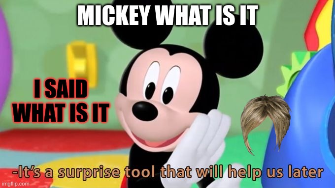 Mickey mouse tool | MICKEY WHAT IS IT; I SAID WHAT IS IT | image tagged in mickey mouse tool | made w/ Imgflip meme maker